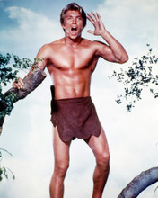 DENNY MILLER TARZAN, THE APE MAN HUNKY PRINTS AND POSTERS 228654