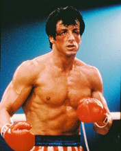 SYLVESTER STALLONE PRINTS AND POSTERS 228396