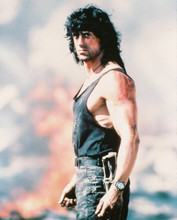 SYLVESTER STALLONE PRINTS AND POSTERS 228395