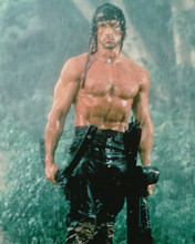RAMBO FIRST BLOOD SYLVESTER STALLONE BARECHESTED PRINTS AND POSTERS 228386
