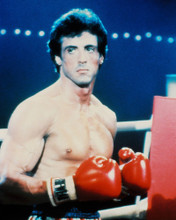 ROCKY II SYLVESTER STALLONE BOXING RING PRINTS AND POSTERS 228356