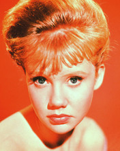 HAYLEY MILLS PRINTS AND POSTERS 227481