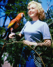 JUNE HAVER WITH PARROT PRINTS AND POSTERS 227409