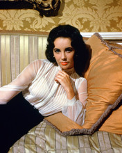 ELIZABETH TAYLOR SULTRY LOOKING RARE PRINTS AND POSTERS 226825