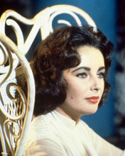 ELIZABETH TAYLOR PRINTS AND POSTERS 226823