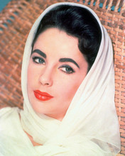 ELIZABETH TAYLOR PRINTS AND POSTERS 226819