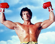 SYLVESTER STALLONE ROCKY III MUSCLE POSE PRINTS AND POSTERS 226778