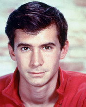 ANTHONY PERKINS IN RED SHIRT 1950'S PRINTS AND POSTERS 226721