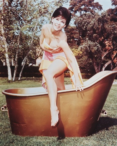 Movie Picture of Yvonne Craig buy celebrity photos and posters at   (SS2456935)