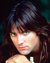 MICHAEL PRAED ROBIN OF SHERWOOD PRINTS AND POSTERS 226293