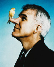 STEVE MARTIN ROXANNE BIRD ON NOSE PRINTS AND POSTERS 22599