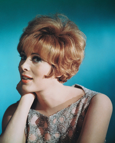 Jill St. John Posters and Photos 225911 | Movie Store