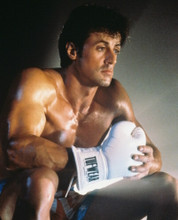 SYLVESTER STALLONE ROCKY II BOXING RING PRINTS AND POSTERS 225908
