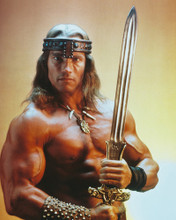 ARNOLD SCHWARZENEGGER PRINTS AND POSTERS 225881