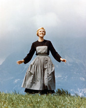 THE SOUND OF MUSIC JULIE ANDREWS PRINTS AND POSTERS 225659