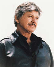 CHARLES BRONSON PRINTS AND POSTERS 22560