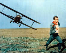 CARY GRANT NORTH BY NORTHWEST CHASED BY PLANE PRINTS AND POSTERS 225524