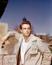MONTGOMERY CLIFT PRINTS AND POSTERS 225522