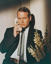 PAUL NEWMAN PRINTS AND POSTERS 225520