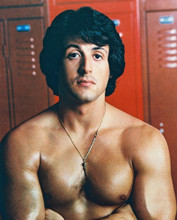 SYLVESTER STALLONE PRINTS AND POSTERS 2249