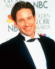 DAVID DUCHOVNY PRINTS AND POSTERS 224848