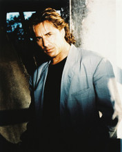 DON JOHNSON PRINTS AND POSTERS 22401