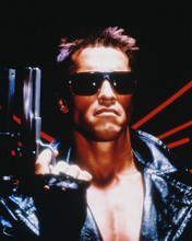ARNOLD SCHWARZENEGGER THE TERMINATOR PRINTS AND POSTERS 223686
