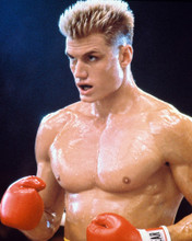 DOLPH LUNDGREN ROCKY IV HUNKY PRINTS AND POSTERS 223620