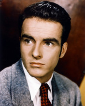 MONTGOMERY CLIFT PRINTS AND POSTERS 223512