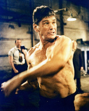 HARD TIMES CHARLES BRONSON PRINTS AND POSTERS 223068