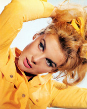 ANN-MARGRET PRINTS AND POSTERS 223031