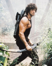 SYLVESTER STALLONE RAMBO:FIRST BLOOD PART II HUNK PRINTS AND POSTERS 22274