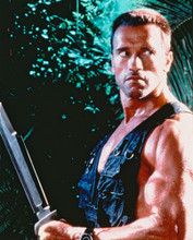 OUR VOICES OURSELVES ARNOLD SCHWARZENEGGER PRINTS AND POSTERS 222287