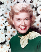 DORIS DAY PRINTS AND POSTERS 222078