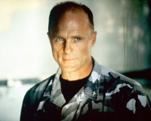 ED HARRIS THE ROCK PRINTS AND POSTERS 221627