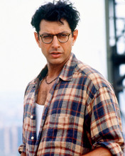 JEFF GOLDBLUM INDEPENDENCE DAY PRINTS AND POSTERS 221616