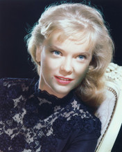 ANNE FRANCIS PRINTS AND POSTERS 221606
