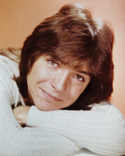 DAVID CASSIDY THE PARTRIDGE FAMILY PRINTS AND POSTERS 221545