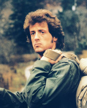SYLVESTER STALLONE PRINTS AND POSTERS 22148