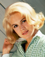 SANDRA DEE LOOKING PRETTY PRINTS AND POSTERS 221056