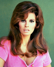 RAQUEL WELCH BUSTY PRINTS AND POSTERS 220790
