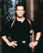 ARNOLD SCHWARZENEGGER PRINTS AND POSTERS 220727