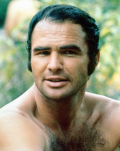 BURT REYNOLDS DELIVERANCE BARECHESTED PRINTS AND POSTERS 219658