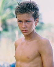 RIVER PHOENIX THE MOSQUITO COAST BARECHESTED PRINTS AND POSTERS 219638