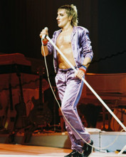 ROD STEWART PRINTS AND POSTERS 218776