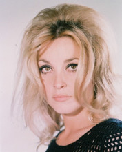 SHARON TATE PRINTS AND POSTERS 218480