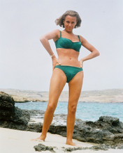 HONOR BLACKMAN PRINTS AND POSTERS 218267