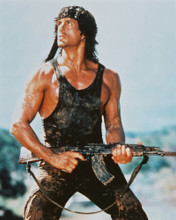SYLVESTER STALLONE PRINTS AND POSTERS 217728