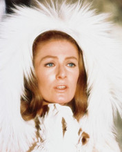 VANESSA REDGRAVE 60'S GLAMOUR PRINTS AND POSTERS 217701