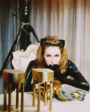 JULIE NEWMAR PRINTS AND POSTERS 216939